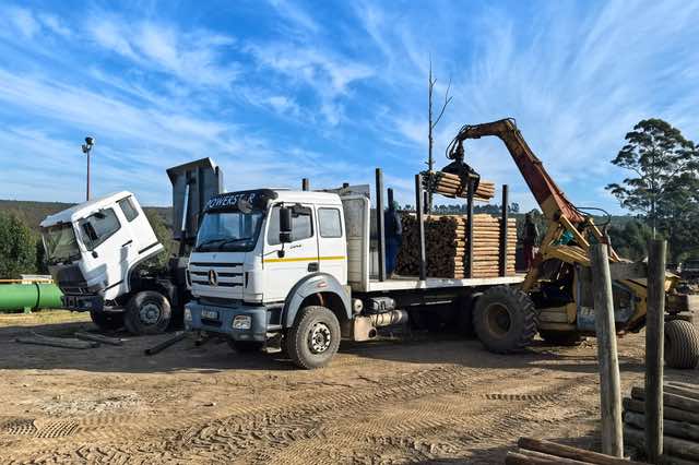 Fencing poles being loaded into trucks at a timber treatment plant in Flagstaff, Eastern Cape